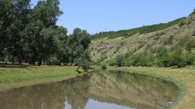 Тело пропавшего двухлетнего мальчика в Флорештах нашли в реке Рэут