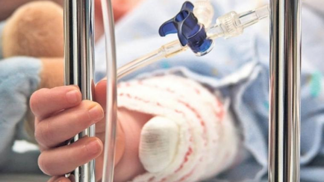 Малыш попал в реанимацию после похода в зоопарк