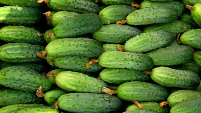 De ce trebuie să mâncăm castraveți? Au zeci de beneficii