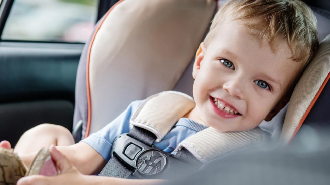 Sfaturi pentru călătoriile cu picii în mașină pe timp de caniculă