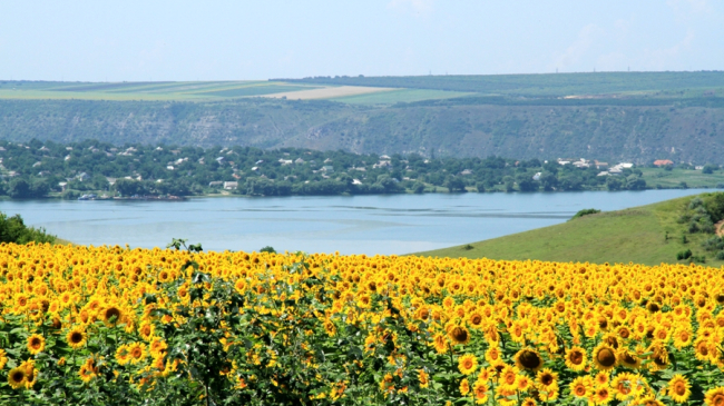Прогноз погоды на 31 июля