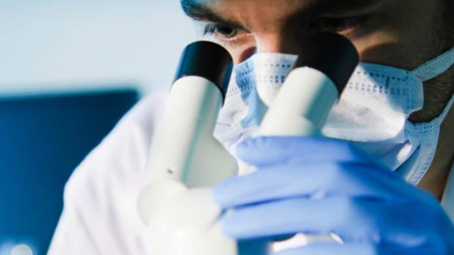 Чрезвычайно заразные инфекции выявлены на территории страны