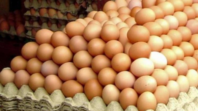 Un nou insecticid a fost descoperit în ouă. Atenţie, este toxic!