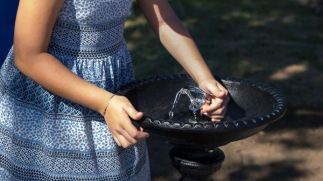 Nesimţire fără margini. Cişmelele din parcul Valea Morilor au fost iarăşi vandalizate (FOTO)