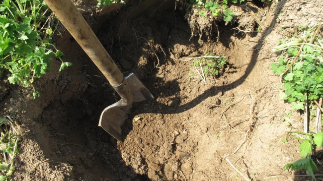 Caz şocant la Donduşeni. Minor de 14 ani, răpit, maltratat şi impus să-şi sape groapa de un vecin