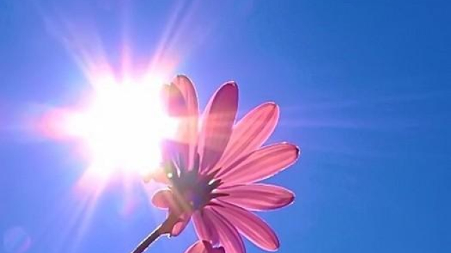 Нас ожидают последние жаркие выходные 2017 года!