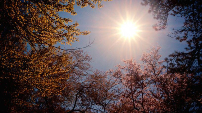 Vremea se încălzește. Prognoza meteo pentru 3 octombrie