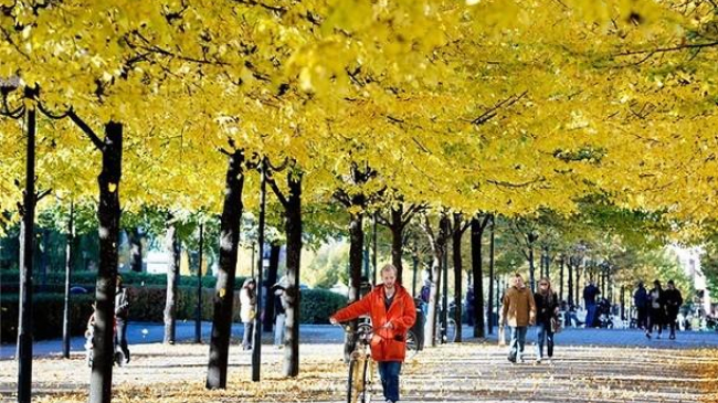 Prognoza meteo pentru 11 octombrie