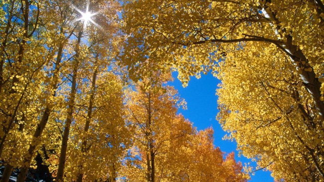 O zi de vară în octombrie! Ce temperaturi vom avea astăzi