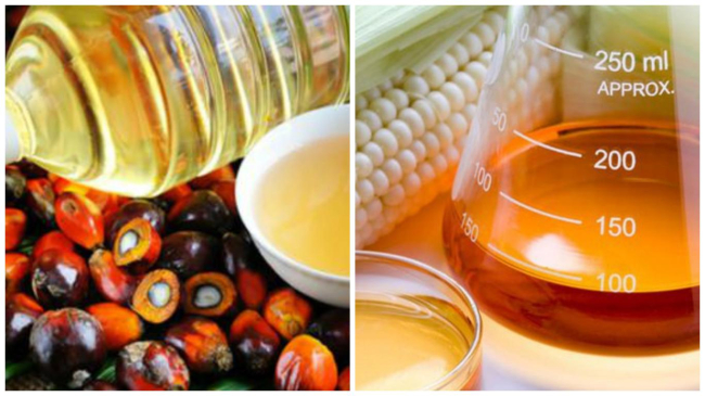 Tot ce nu știai despre uleiul de palmier și siropul de porumb