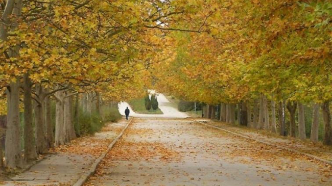 Какая погода нас ждет в выходные дни