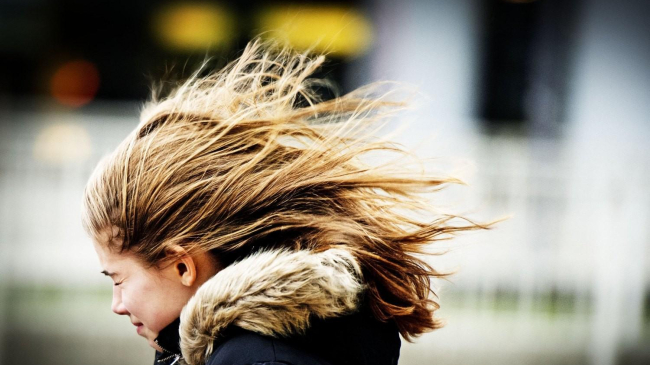 В Молдове объявили оранжевый уровень метеоопасности из-за сильного ветра