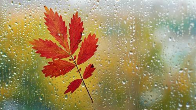 Temperaturi de +15 grade. Cum va fi vremea în weekend