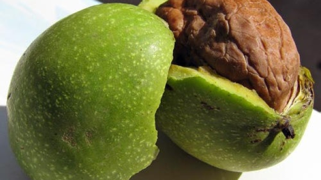 Miracolul de sub coaja verde:10 motive ca să mănînci zilnic nuci!