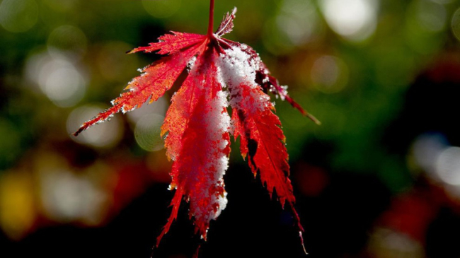 Vreme frumoasă și temperaturi de +18 grade. Când se răcește vremea