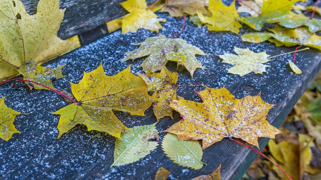 Ploi, lapoviță și temperaturi minime negative. Ce prognozează meteorologii pentru săptămâna viitoare