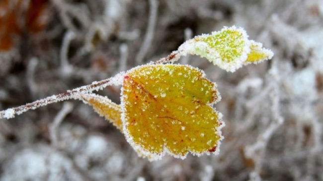 Cum va fi vremea în weekend si săptămâna viitoare