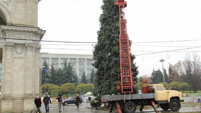 Pomul de Crăciun va fi inaugurat pe 1 decembrie