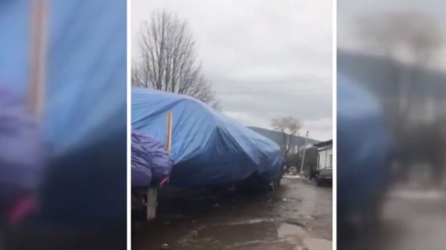 Drumul lung și anevoios al Pomului de Crăciun din Piaţa Marii Adunări Naţionale