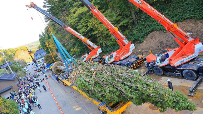 Cum arată cel mai înalt brad din lume, inaugurat în Japonia