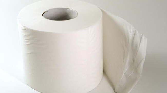 Grădinițele din sectorul Râșcani, primele care primesc hârtia igienică, procurată de Direcția educație