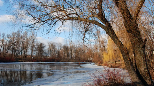 На Рождество будет теплая не по сезону погода