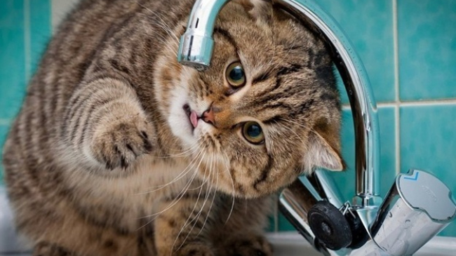 Deconectări de apă în capitală. Vezi adresele vizate