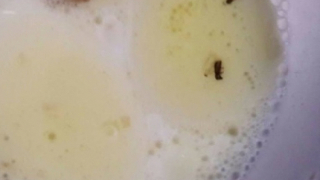 Compania care a livrat la o grădiniță hrișcă cu viermi și gîze, în lista neagră