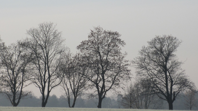 Prognoza meteo pentru 10 ianuarie