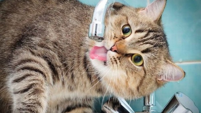 Mâine nu vom avea apă la robinete