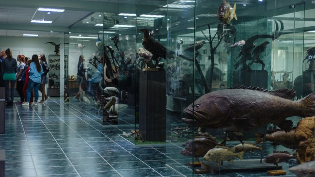 Un muzeu din Chișinău, cunoscut la nivel internațional. Are peste 10.000 de exponate