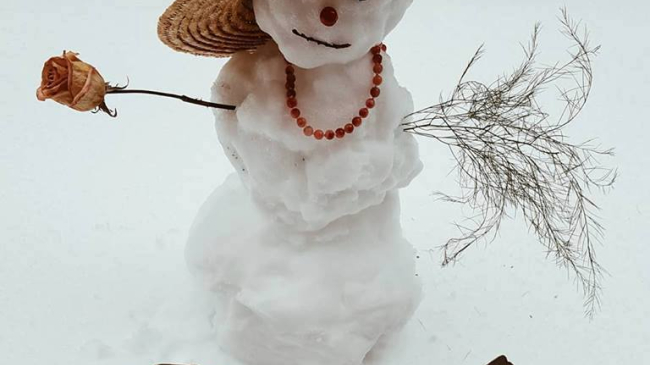 Ninsoarea prin ochii moldovenilor