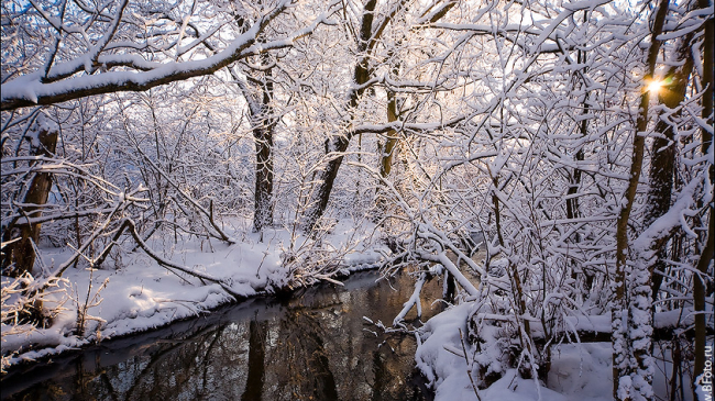 Прогноз погоды на 23 и 24 января