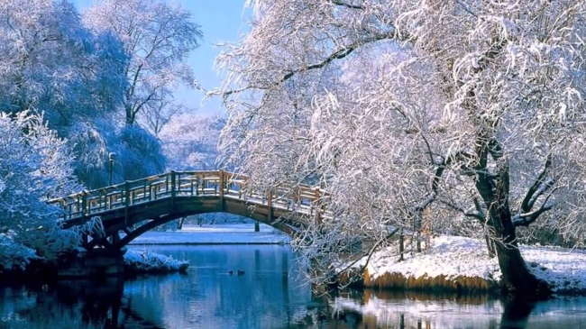 Погода в Молдове на 8 и 9 февраля