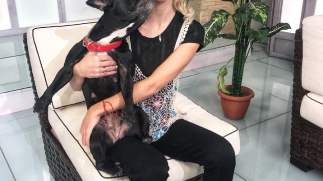 Gloria Gorceag e însărcinată?