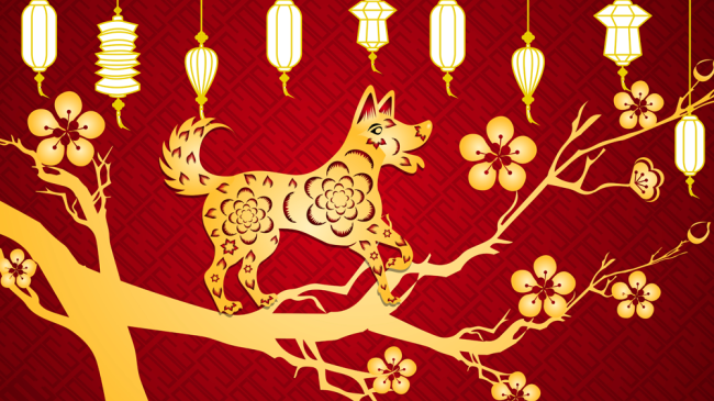 Anul Nou Chinezesc. China trece în Anul Câinelui de Pământ