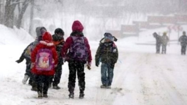 Восемь школьных маршрутов были отменены из-за заснеженных дорог