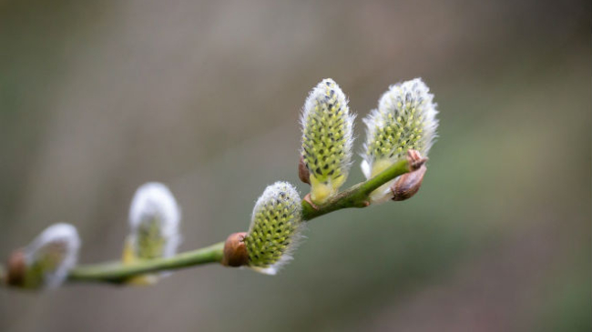 Прогноз погоды на 12 марта