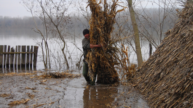 Опасность наводнений в стране из-за обильных осадков