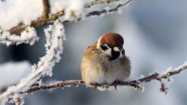Cum va fi vremea în următoarele zile, potrivit meteorologilor