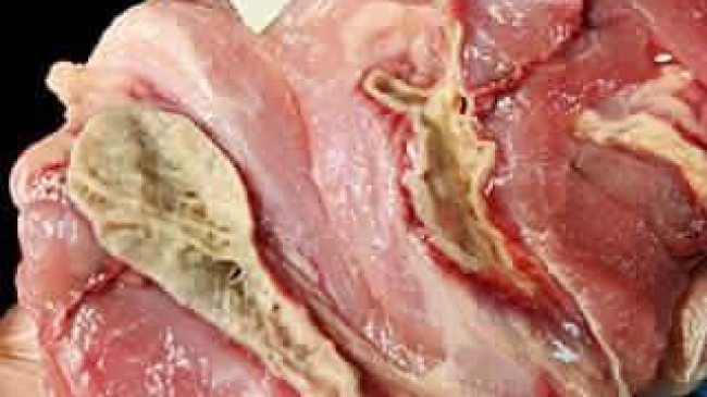 Dezgustător. Ce a găsit o persoană în carnea de porc!