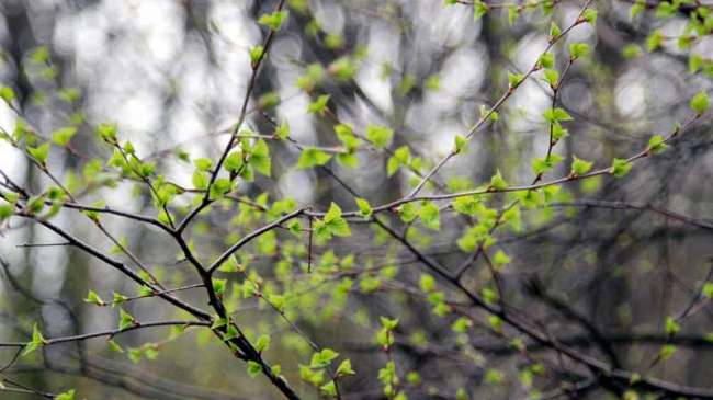 Cum va fi vremea în această săptămână