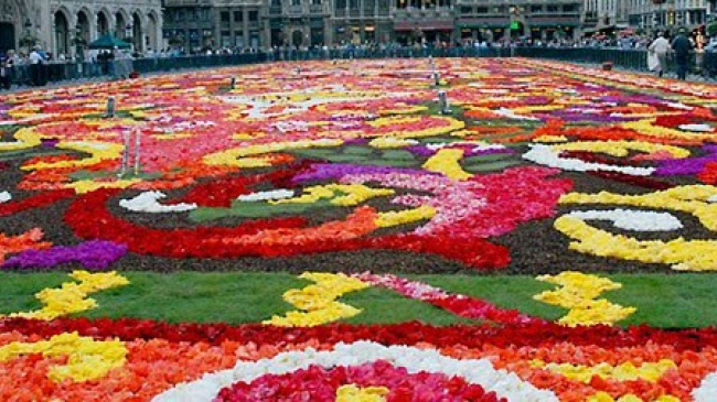 Un covor din flori vii va fi amenajat în PMAN în ajun de Paște