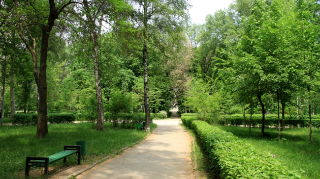 Două parcuri din Chişinău vor fi reabilitate în acest an