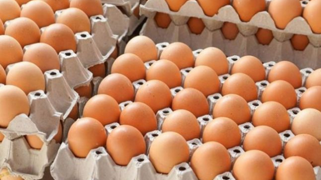 În ajun de Paște, se verifică calitatea ouălor în crescătoriile din țară