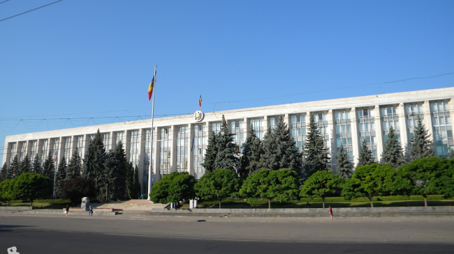 Cum arată covorul de flori din scuarul Catedralei