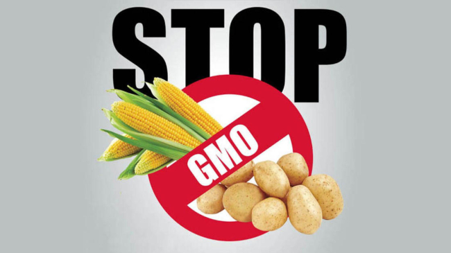 Чем опасны ГМО продукты, и есть ли они в Молдове