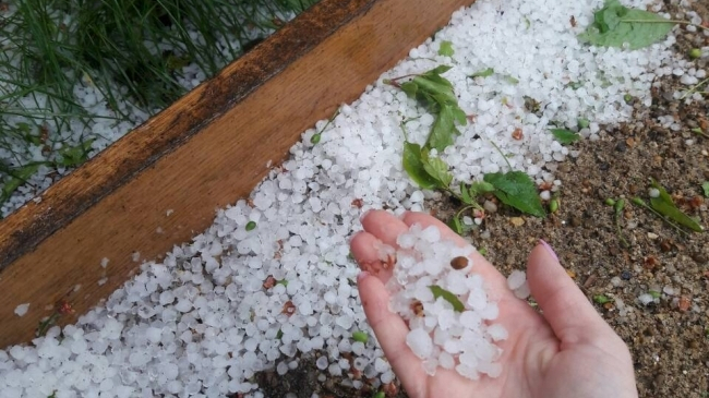 O ploaie cu grindină a făcut prăpăd în nordul țării