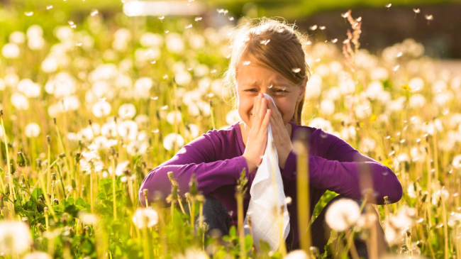 Cum și unde poți să afli motivele alergiilor
