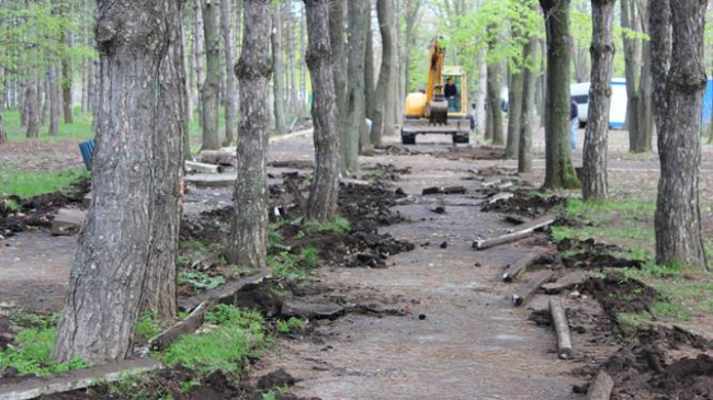 Datorită diasporei, un parc din Ungheni a fost renovat